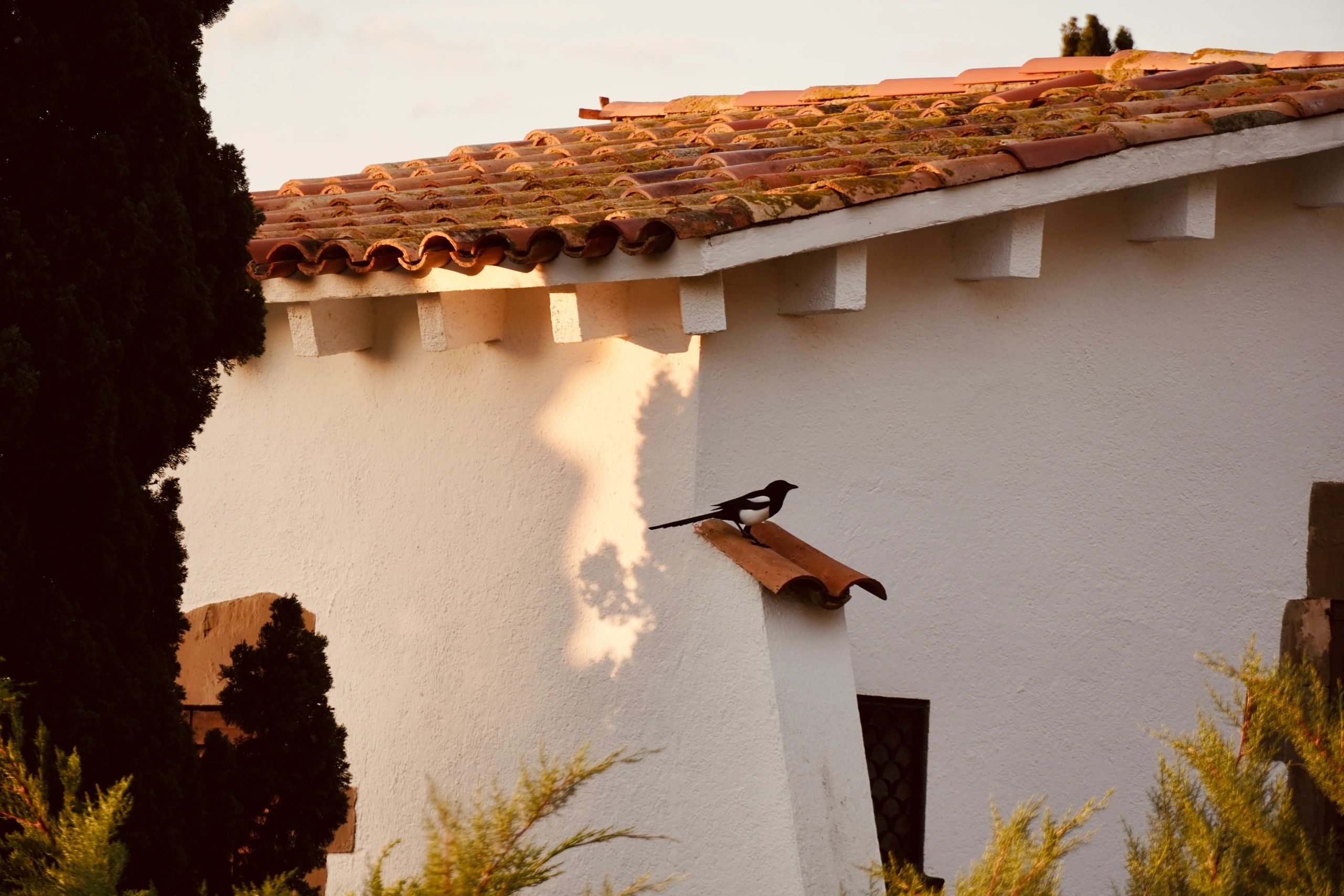 Spanish property exterior prepared and cared for